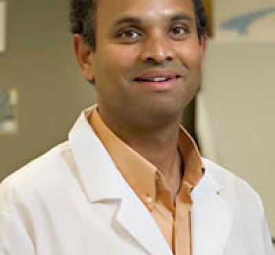 Siva Kolluri, PhD