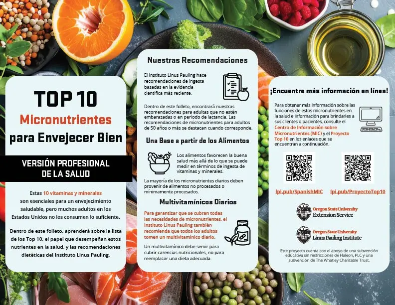 thumbnail of Spanish health professionals top 10 micronutrients brochure