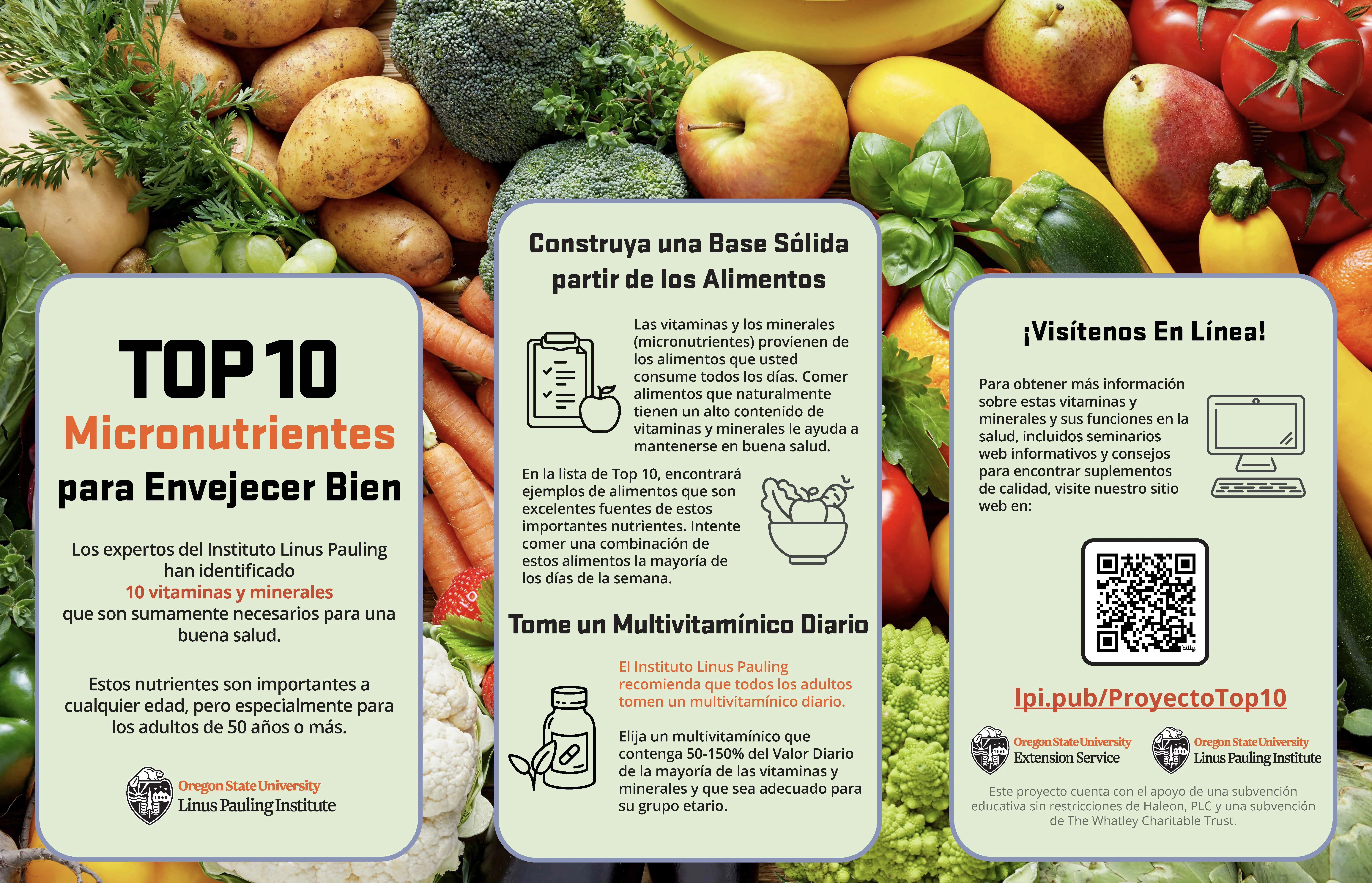 thumbnail of top 10 micronutrients public brochure