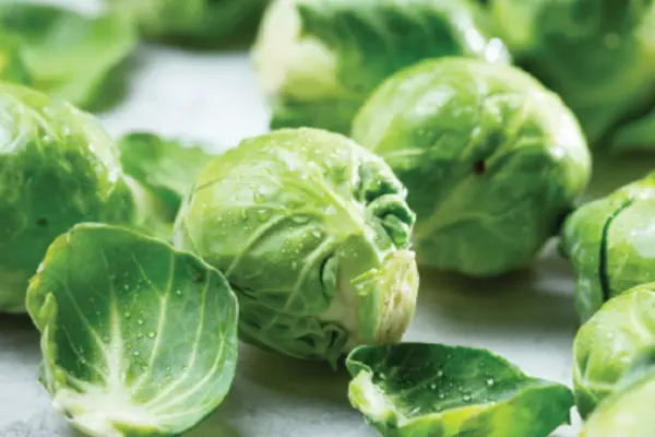 Fresh Brussels sprouts on a light background