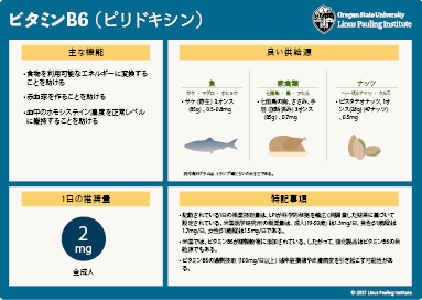 Japanese vitamin B6 flashcard thumbnail