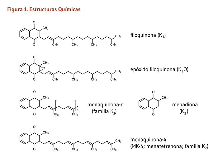 Figura 1. Estructuras Quimicas.